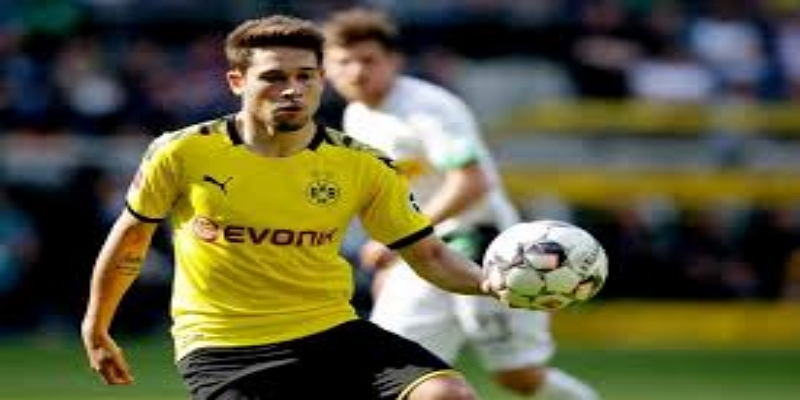 ACL伤病细节与康复计划-开云体育