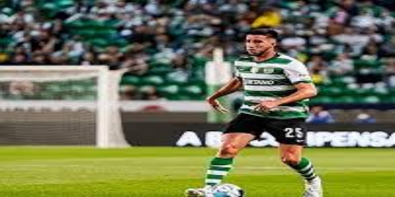 新赛季展望：红军中场的新希望-开云体育