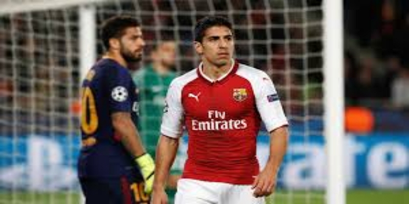 解读-弗里德曼与斯波尔斯：两条路线，两种未来-开云体育