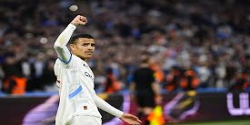 家庭因素成为回归关键- 开云体育