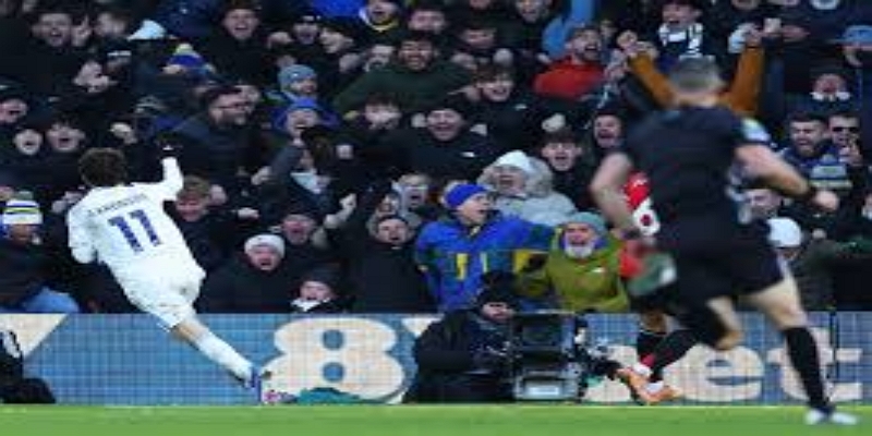 拉菲尼亚的决定性影响-开云体育解析边路核心价值-开云体育